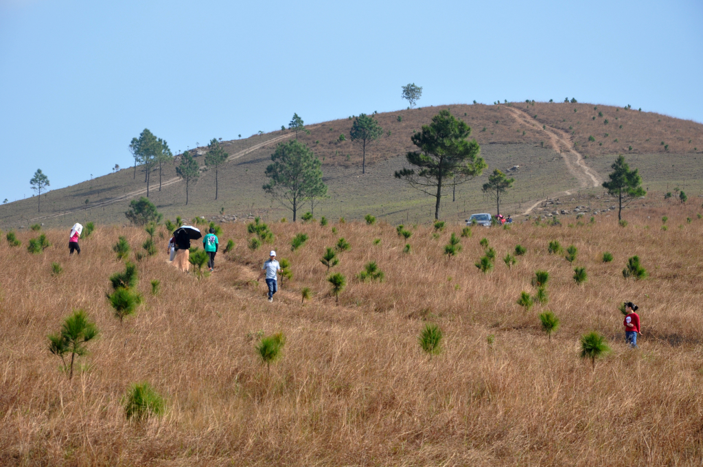 Khám phá Đỉnh Phượng Hoàng - điểm cắm trại cực hot tại Quảng Ninh