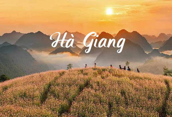 Hà Giang 12 tháng có gì? Thời điểm đẹp nhất để du lịch Hà Giang trong năm