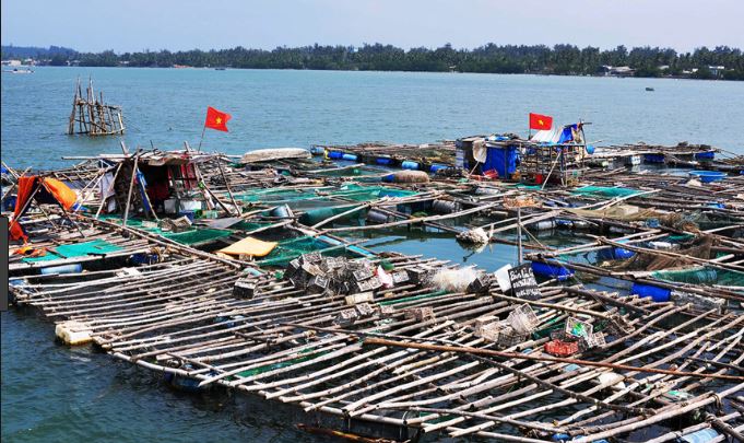 Làng chài sa huỳnh đức phổ ở đâu? Cách đi đến đó như thế nào?