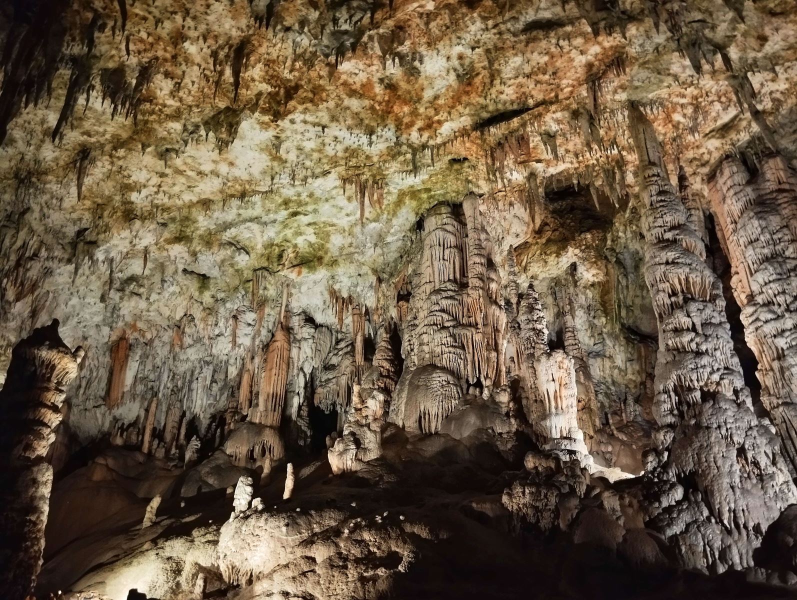 May mắn nhận được nhành lá bồ đề “nguyên gốc” được chiết từ cây bồ đề bên Ấn Độ mang sang từ hàng ngàn năm trước. 