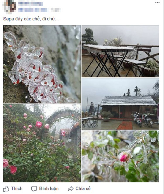 Sự thật về tin đồn Sa Pa xuống -2 độ C, băng giá phủ trắng như tuyết