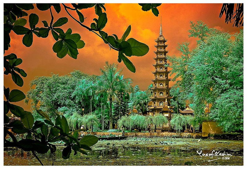 Việt Nam trong tôi