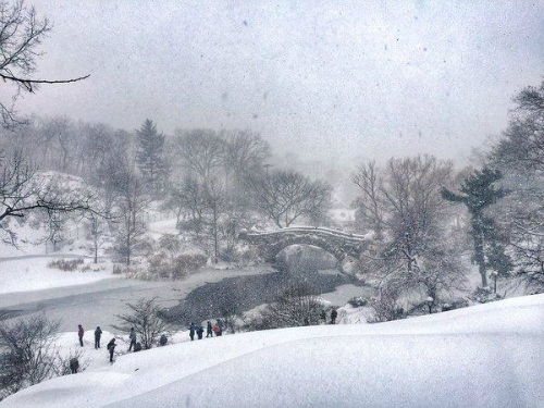 Những bức hình ấn tượng trong bão tuyết ở Mỹ