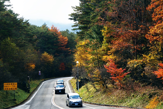 Mùa thu xứ Phù Tang đẹp mê hoặc lòng người
