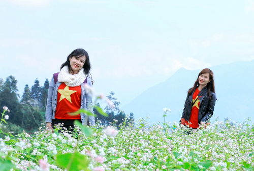 Ngắm hoa tam giác mạch mùa lễ hội từ cáp treo Fansipan