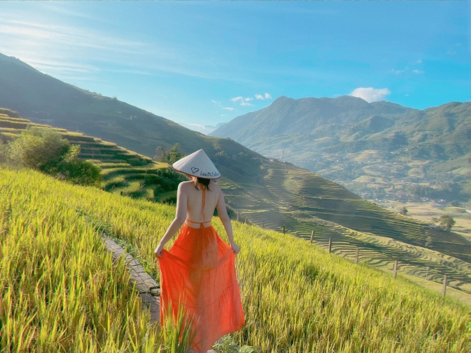 Lúa chín sớm ở Sapa - Tả Van. Ảnh: Nguyễn Hồng Thu Trang