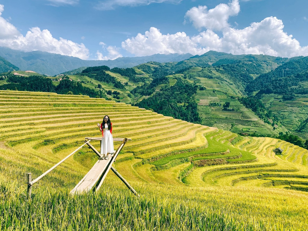 Ruộng bậc thang Hoàng Su Phì Mù Cang Chải