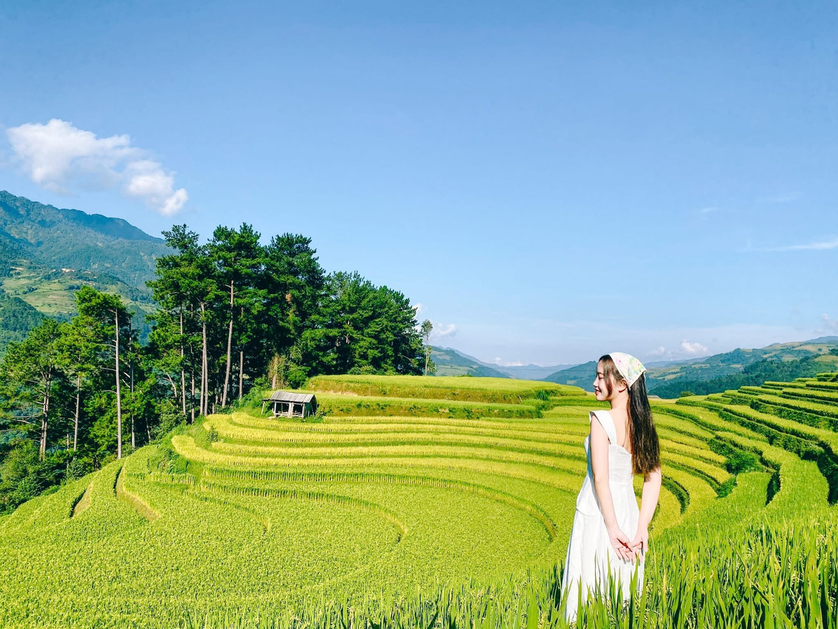 Đỉnh Chiêu Lầu Thi và biển mây