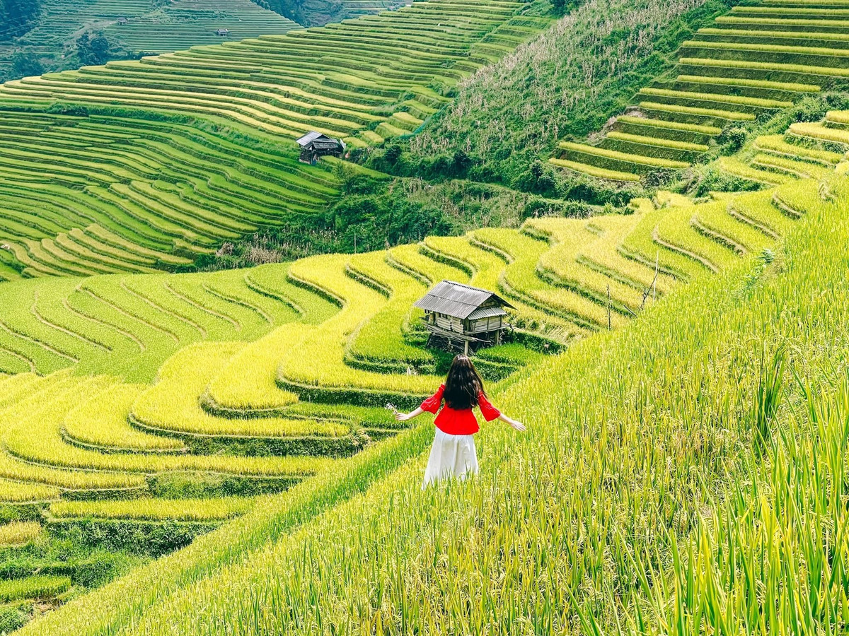 Ruộng bậc thang Kim Nọi Mù Cang Chải