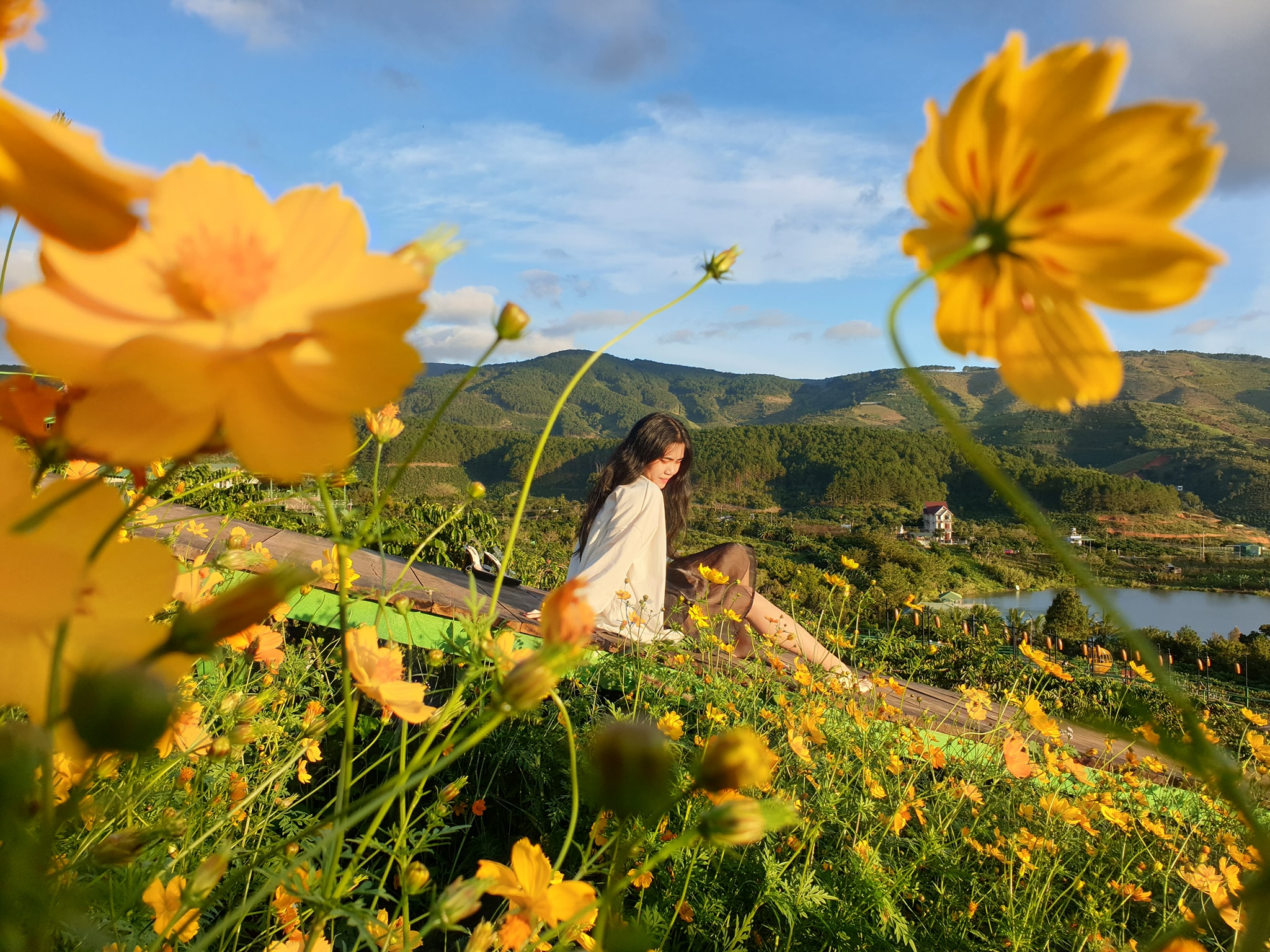 Vườn hoa Mê Linh