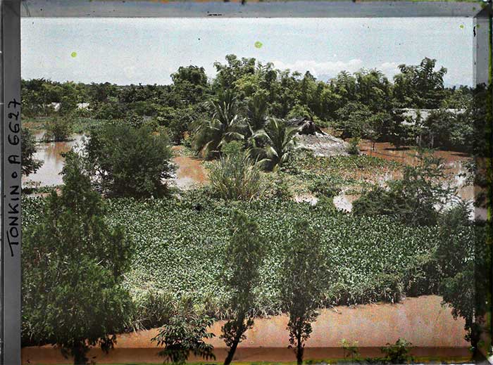 Cảnh lụt lội ở ấp Thái Hà.