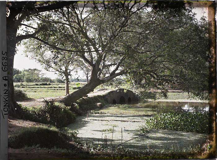 Khung cảnh thôn dã ở làng Định Công xưa.