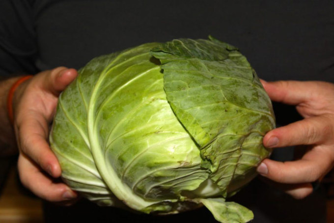 Tại các quốc gia bắc Âu, họ sẽ ăn bắp cải vào năm mới. Món ăn này tượng trưng cho sự giàu có, sung tức. Những người gốc Scotland, Ireland khi tới Mỹ định cư cũng mang theo thả đồng xu vào trong nồi bắp cải nấu. Người nào trong đĩa ăn của mình có đồng xu đó sẽ nhận được may mắn liên quan đến tiền bạc trong suốt năm đó. Ảnh: Pinterest