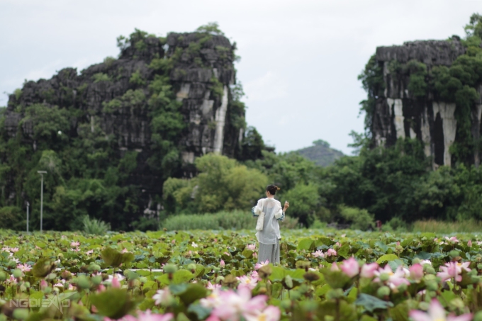 Đến độ sen nở, Ninh Bình thu hút hàng nghìn lượt du khách mỗi ngày tới ngắm hoa, đặc biệt vào cuối tuần. Nhiều du khách chọn chuyến đi trong ngày, xuất phát từ Hà Nội lúc sáng sớm và trở về tầm chiều tối. Khoảng 9h-10h, lượng du khách ghé đầm sen dưới chân hang Múa, một trong những đầm sen đẹp ở Ninh Bình, rất đông. Do đó, tốt nhất bạn nên nghỉ lại một đêm, hôm sau tranh thủ đi thật sớm để săn ảnh đẹp.