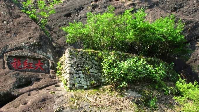 Loại trà mọc trên vách đá núi cao dựng đứng quanh năm sương mù, mây phủ của núi Vũ Di.