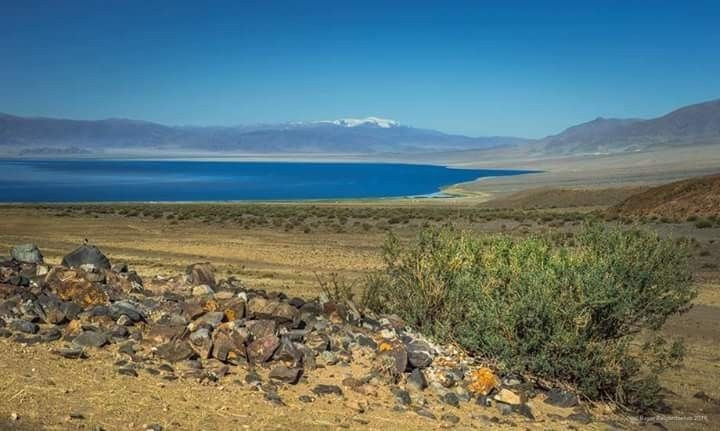  Khí hậu khắc nghiệt nhưng giàu sức sống. Nhiệt độ có thể dao động từ -58°C mùa đông đến 40°C mùa hè, song hệ sinh thái vẫn phát triển mạnh mẽ. Ảnh: Pinterest.