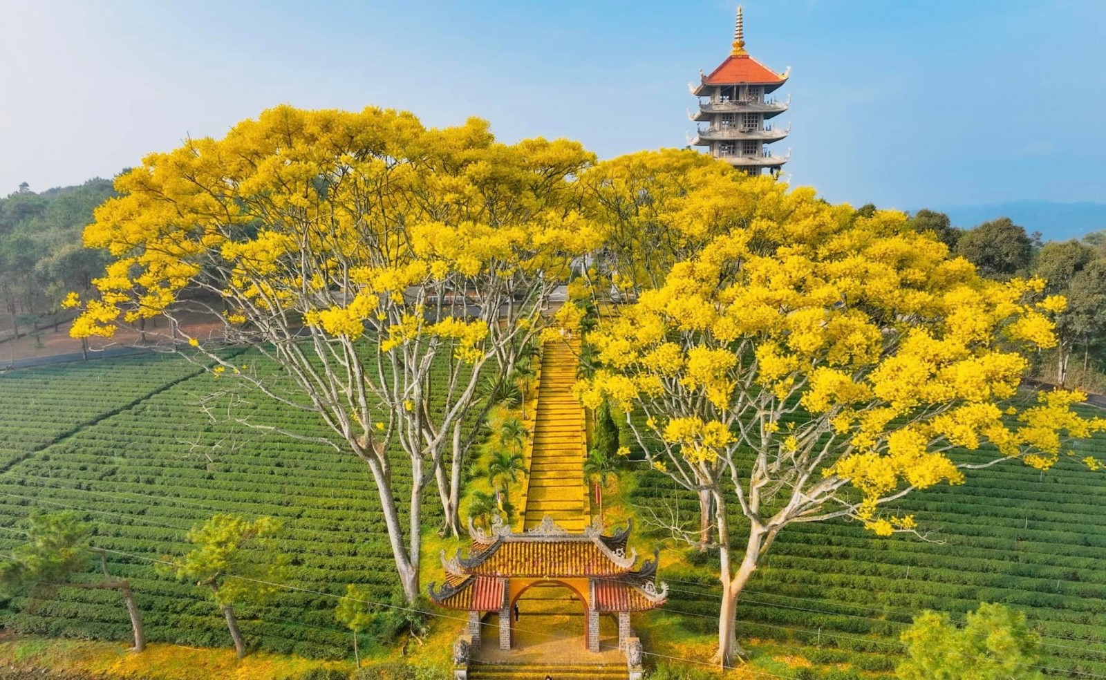 Tu viện Bát Nhã - chốn thanh tịnh xứ Bảo Lộc mù sương