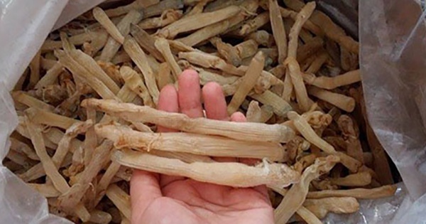 3 đặc sản Tết giá tiền triệu, muốn mua có khi phải cọc trước cả tháng