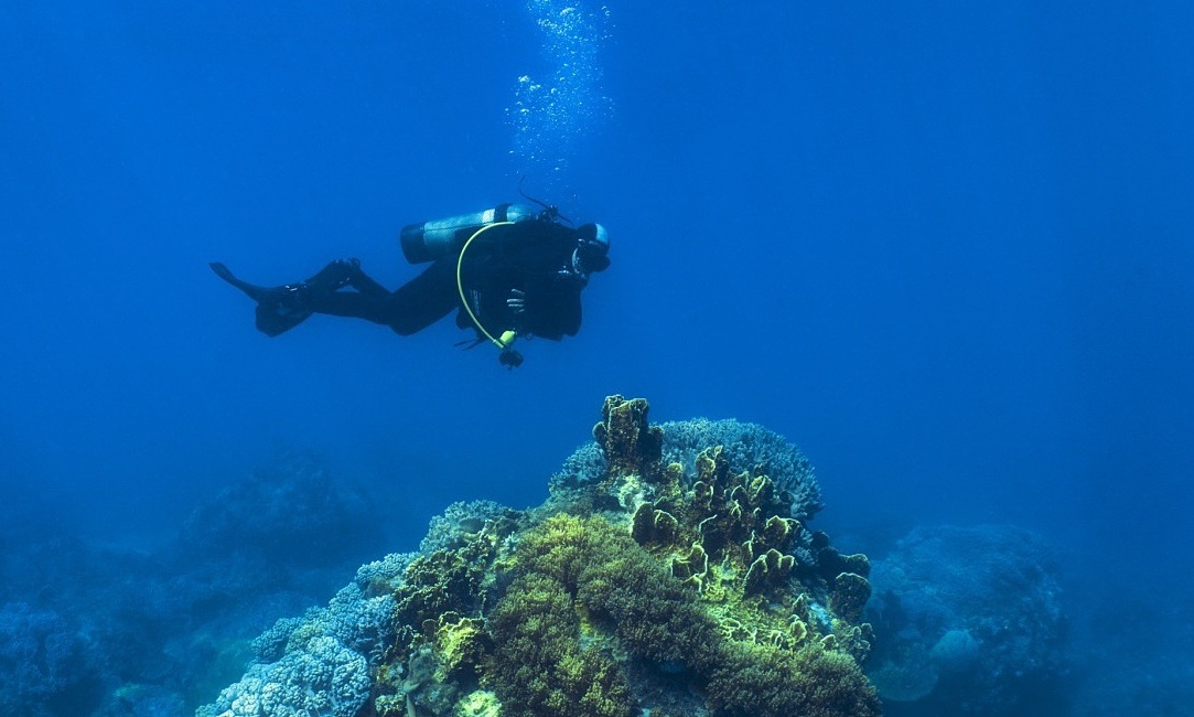 4 địa điểm lặn ở Việt Nam được báo nước ngoài gợi ý