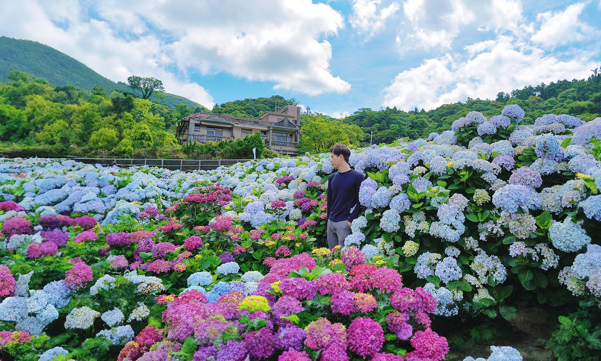 8 trải nghiệm ăn ngon, chụp đẹp phải thử ở Đài Loan