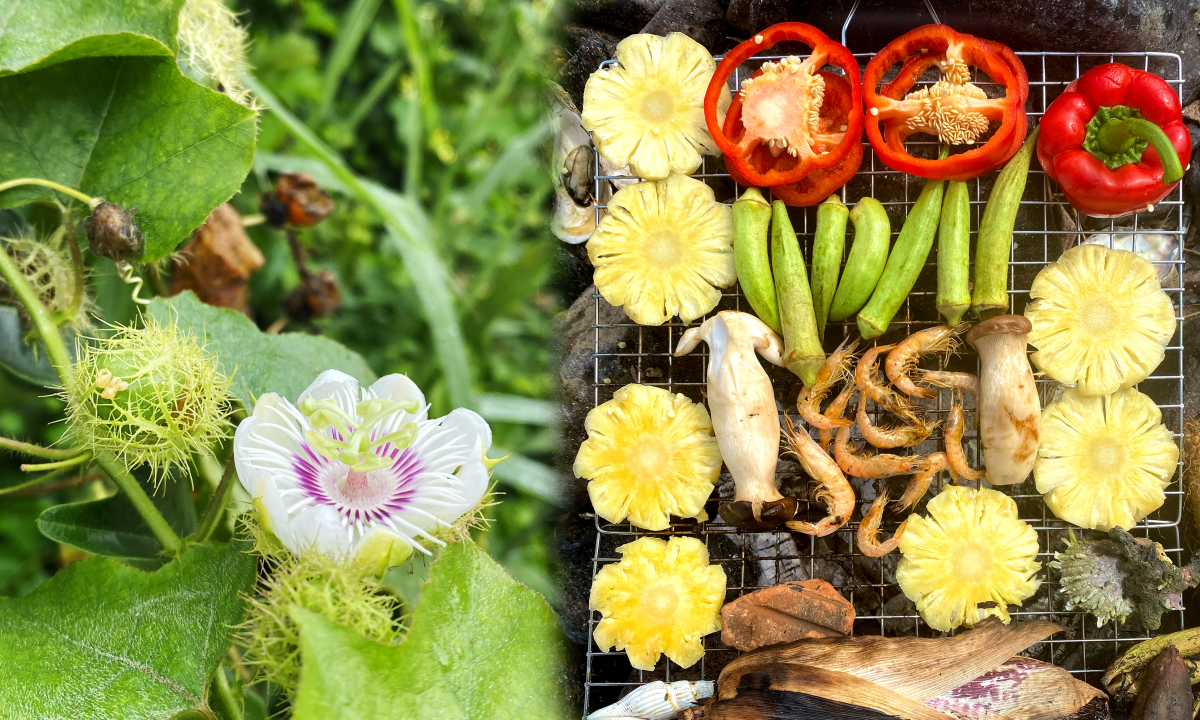 BBQ phong cách 'Robinson' ở bãi đá ven biển