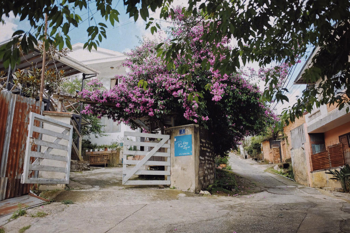 Bạn đã biết đến 3 homestay có tên độc lạ ở Đà Lạt này chưa?