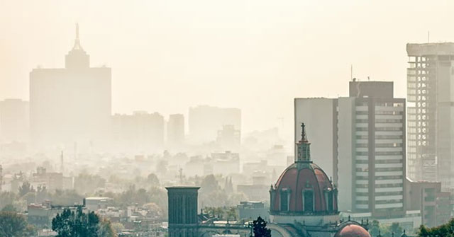 Bộ não cũng bị ảnh hưởng khủng hoảng khí hậu