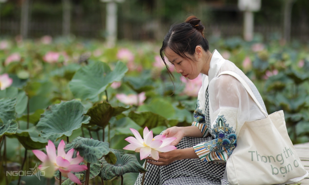 Chia sẽ 'Bí kíp' có bộ ảnh sen Ninh Bình đẹp không dính người