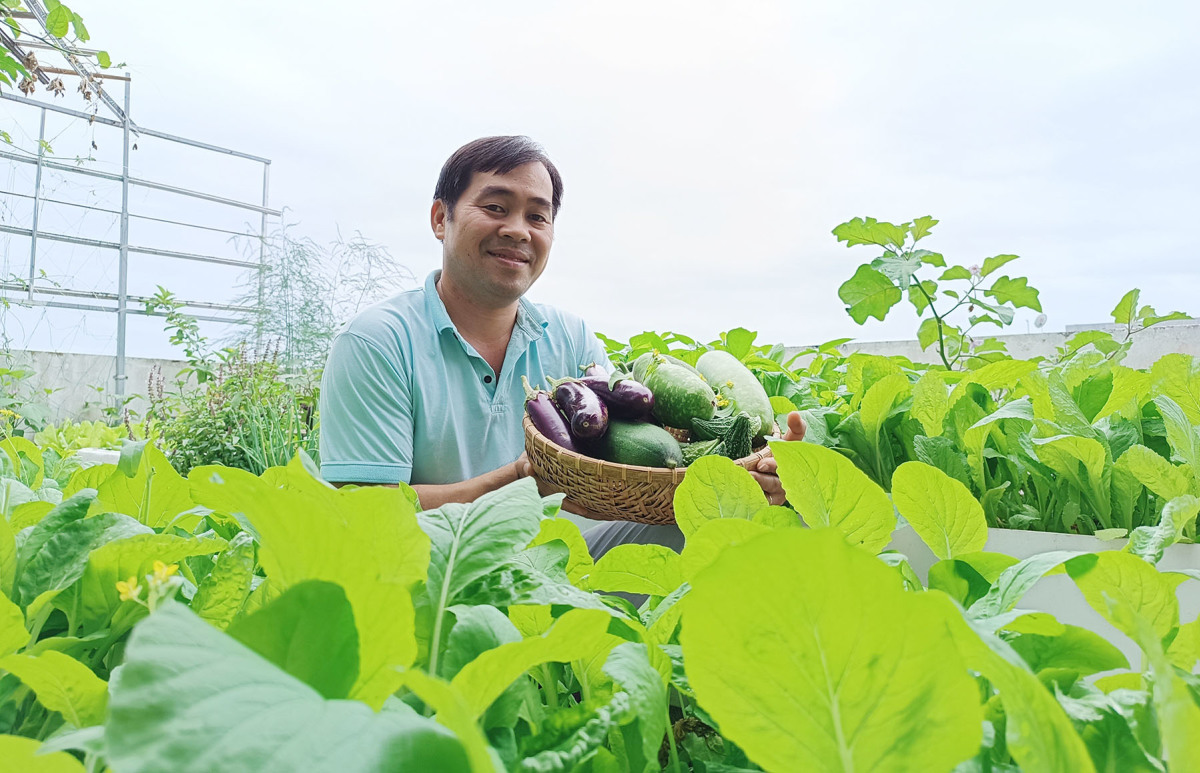 'Chợ' rau sạch trên vườn sân thượng