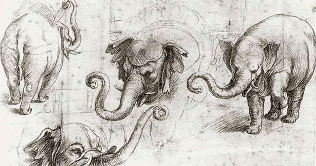 Có một con voi bị chôn vùi bên dưới Vatican?