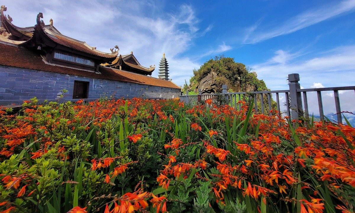 Du khách mê mẩn 'ruộng bậc thang' đỏ cam trên đỉnh Fansipan 