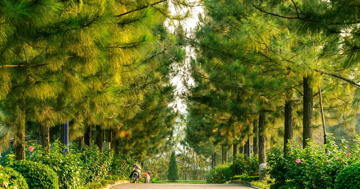 Du lịch Đan Phượng, ăn chơi gì giữa vùng đất cổ xứ Đoài?