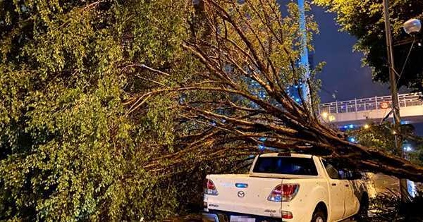 Đường phố Hà Nội tan hoang, cây đổ la liệt sau khi bão Yagi quét qua