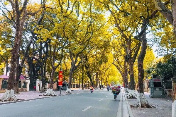 Hanoi: A Top Asian Destination for Autumn Foliage