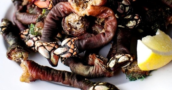 Hai đặc sản có tên nghe tưởng kinh hãi mà giá tiền triệu cũng khó có cơ hội thưởng thức