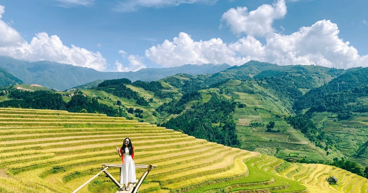 4 Ngày Khám Phá: Hành Trình Săn Lúa Vàng Hoàng Su Phì - Mù Cang Chải