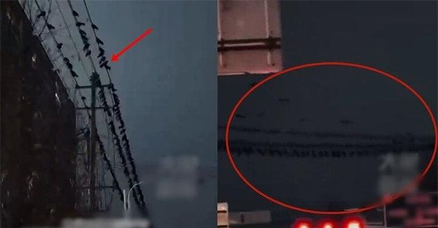 Hiện tượng lạ lùng trước khi xảy ra động đất làm chết 118 người ở Trung Quốc - KhoaHoc.tv