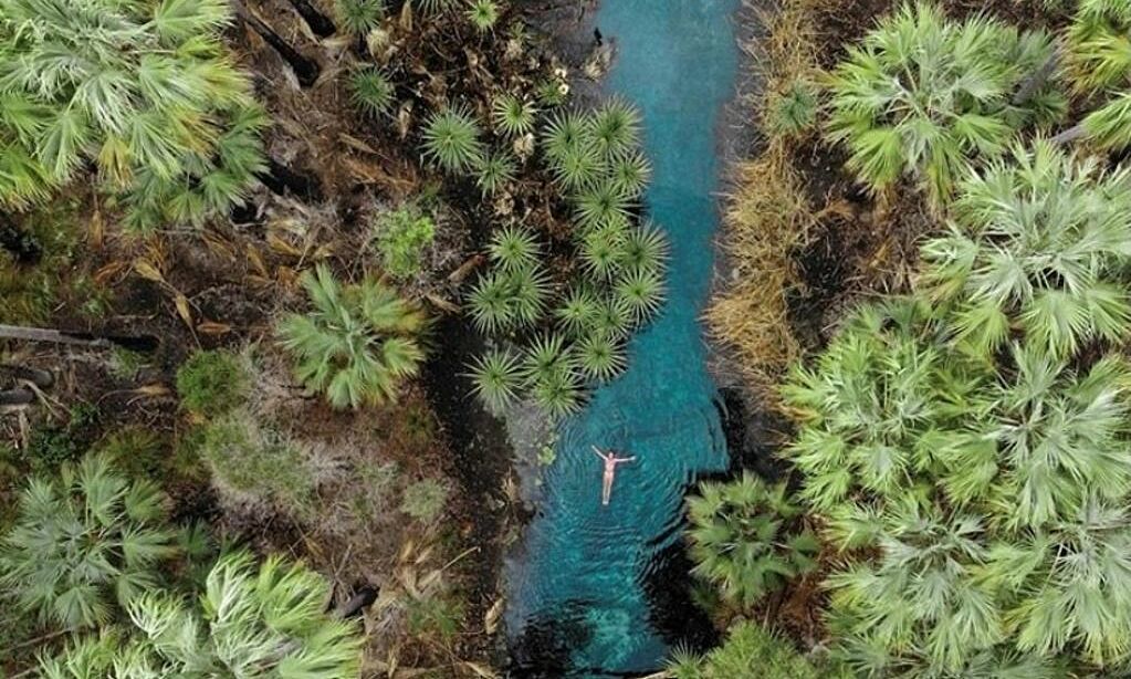Hồ Mataranka - Thiên đường giữa rừng hút khách ở Australia