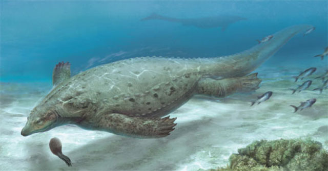 Khai thác đá, lộ ra quái vật chưa từng thấy trên thế giới ở Trung Quốc