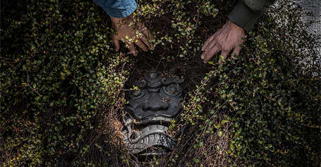 Khám phá quái vật trên ‘'Hòn đảo yêu tinh' ở Nhật