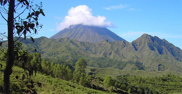 Loài người cổ đại có thể vẫn còn sống trên đảo Flores của Indonesia