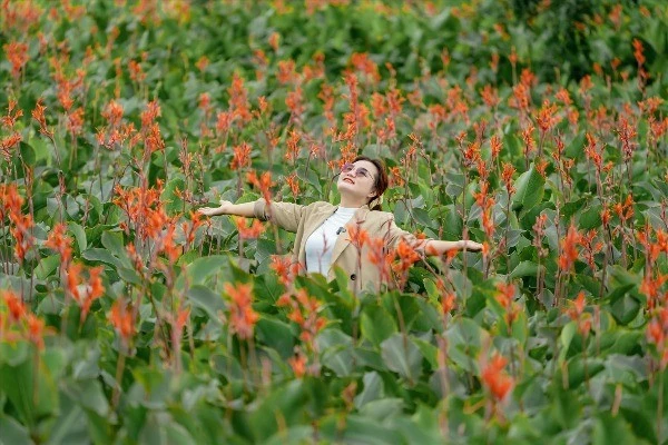 Khám Phá Đồi Sim Suối Bon: Cắm Trại Đêm, Săn Mây Huyền Ảo và Chiêm Ngưỡng Dải Ngân Hà