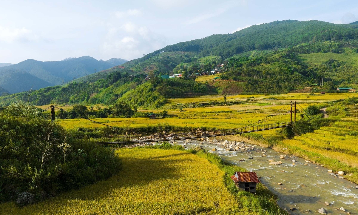 Ngắm nhìn mùa lúa chín trên ruộng bậc thang ở Kon Tum
