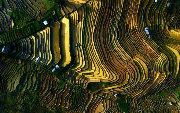 Ngắm tuyệt tác được tạo bởi thiên nhiên con người ở Mù Cang Chải