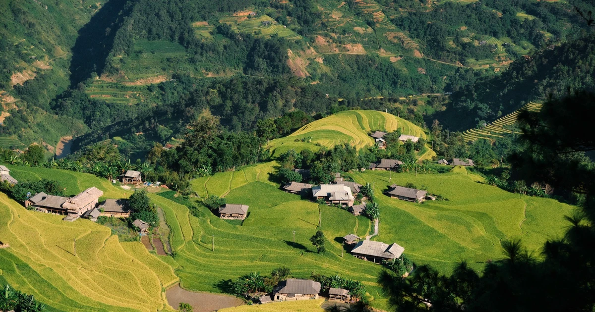 Bản Phùng: Ruộng bậc thang đổi sắc theo mùa, điểm đến tuyệt đẹp