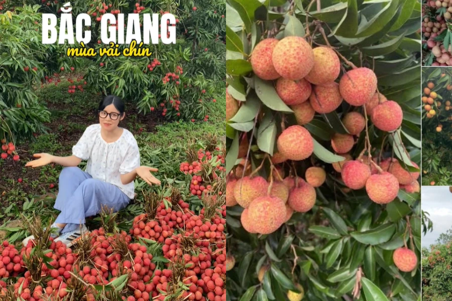 Nghỉ hè không được đu trend: sinh viên phải về phụ mẹ bán vải