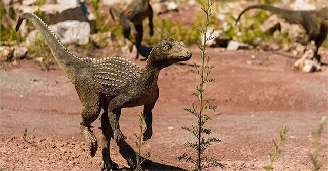 Nghiên cứu mới nêu nguyên nhân khiến khủng long chết hàng loạt