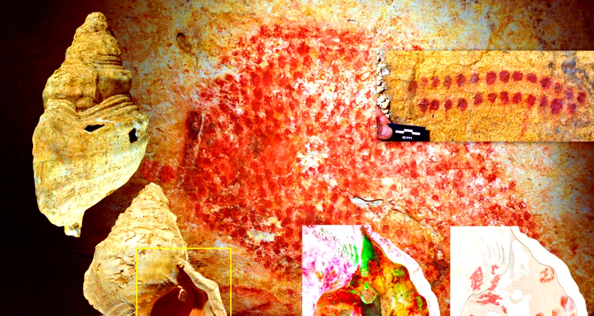 Phát Hiện Chấn Động: Trang Sức Vỏ Sò Cổ Xưa