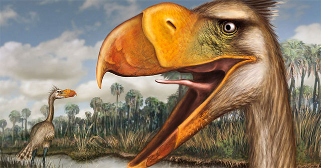 Phát hiện dấu vết chim ăn thịt to hơn con người ở Nam Mỹ