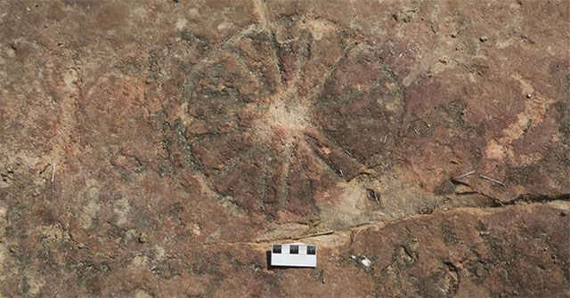 Phát hiện tác phẩm nghệ thuật 9.000 năm tuổi bên cạnh dấu chân khủng long